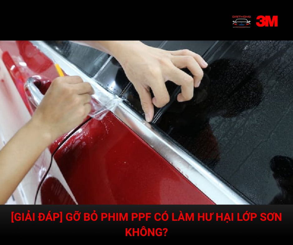 gỡ bỏ phim PPF có làm hư hại lớp sơn không