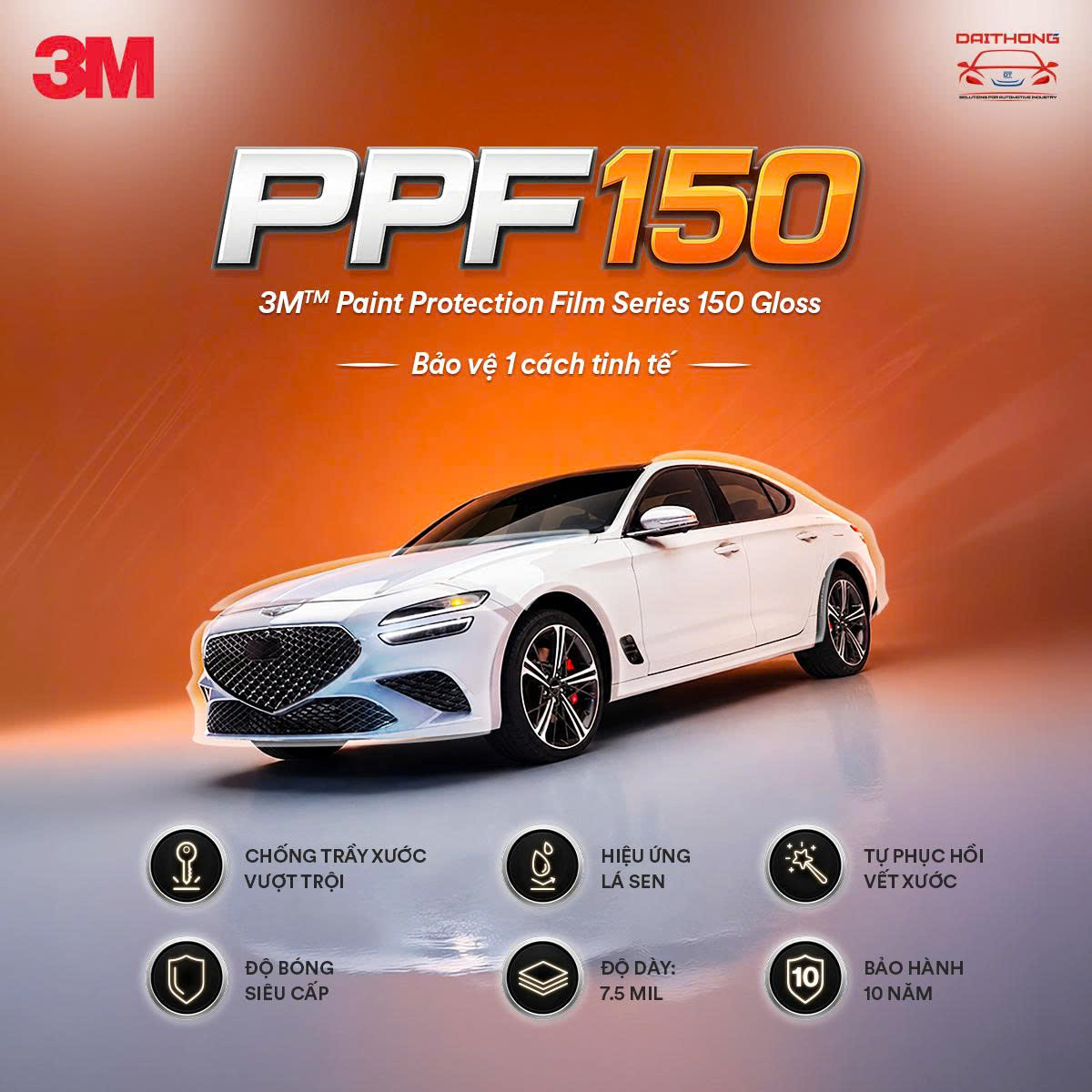 Trang chủ - New 20 PPF 150
